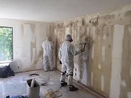 Why You Should Choose Our Mold Remediation Services in Aitkin, MN